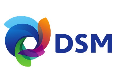 DSM Synochem